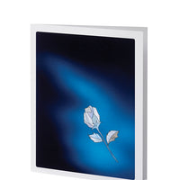 MOP Blue Rose - Stationery Box Set - IUMOP105 BOXSET