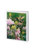 Theme Hummingbird - Urn & Stationery Box Set - IUTM110-SET