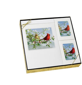 Theme Cardinal - Stationery Box Set - STTM112-BX