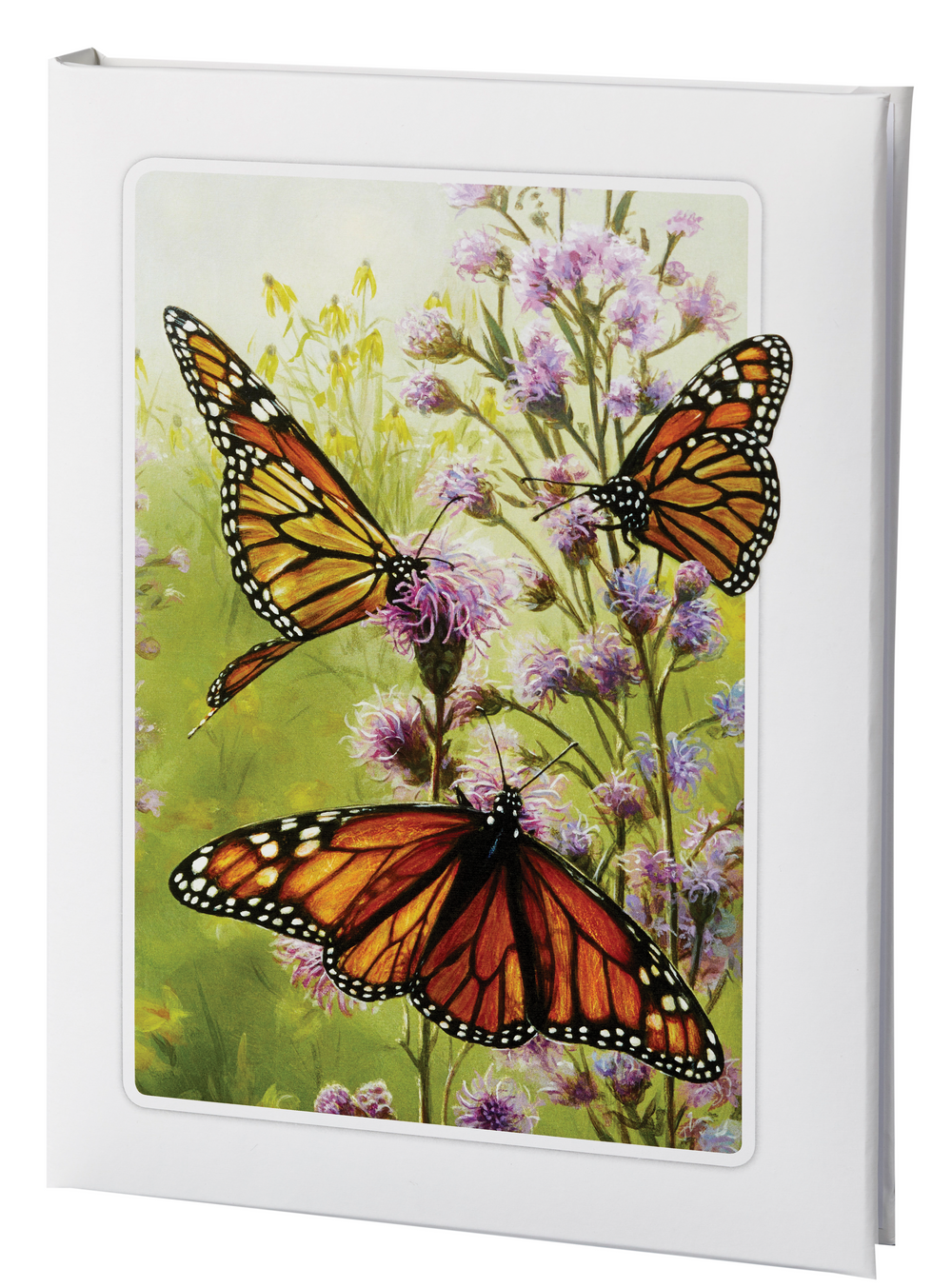 Butterfly Memorial Guest Book - 6 Ring - IUTM116-RBK