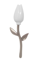 Tulip Keepsake - IUTUBUD
