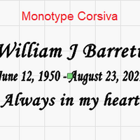 Custom Engraved Red Brick For Outdoor Memorial - IUBRICK100