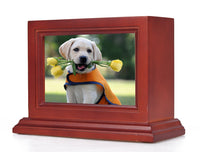 Cherry Finish Flat Top Picture Frame Pet Cremation Urn - IUB013