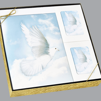 Wings of Hope - Stationery Box Set - ST777-BX