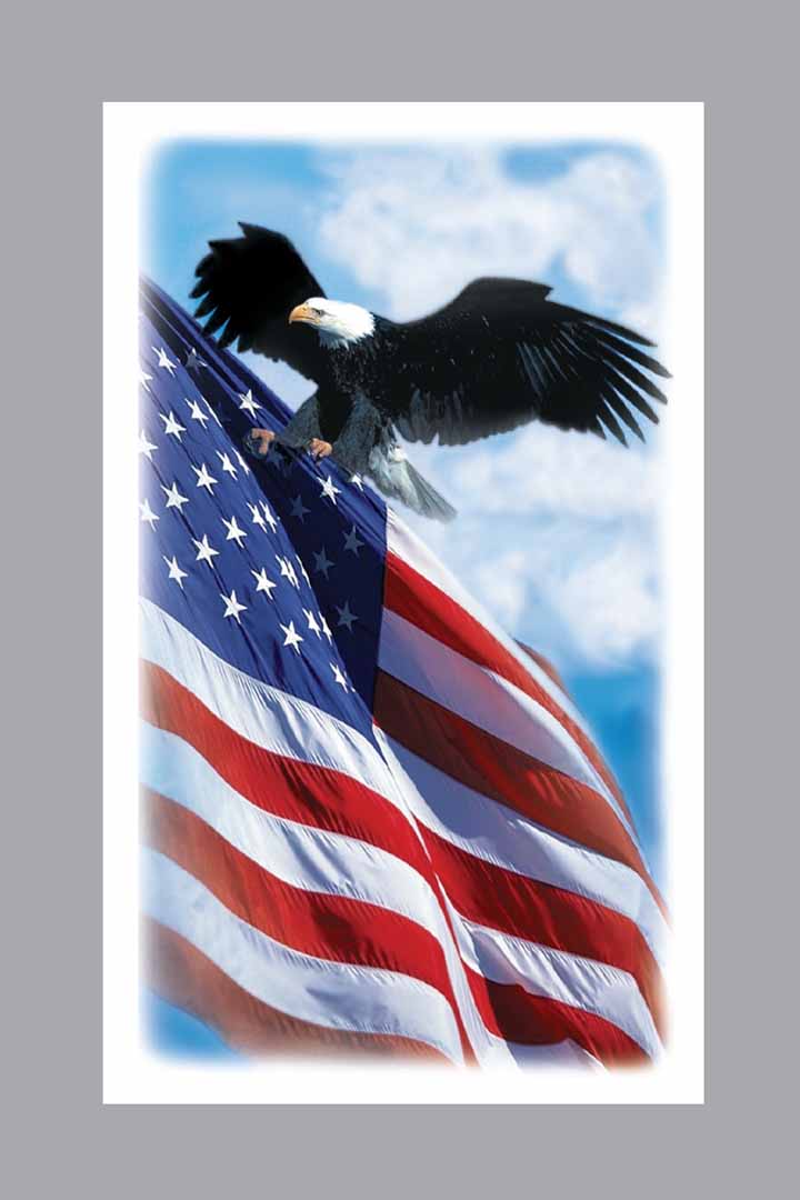 Patriotic Prayer Cards - 722-MIC