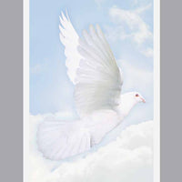 Wings of Hope Prayer Cards - ST777-MIC-PC